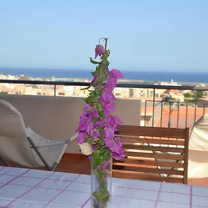 Yucca Pantelleria