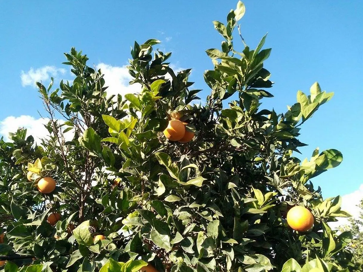 Agriturismo Calamosche Hotel Noto